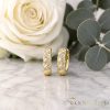 Goldfilled Antialergijske naušnice 13mm 14K boja	