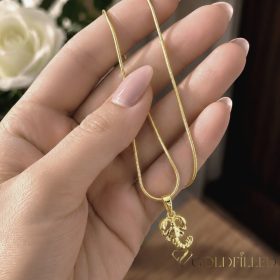   Antialergijska ogrlica Goldfilled 45cm / 1mm + privjesak rak 14K boja